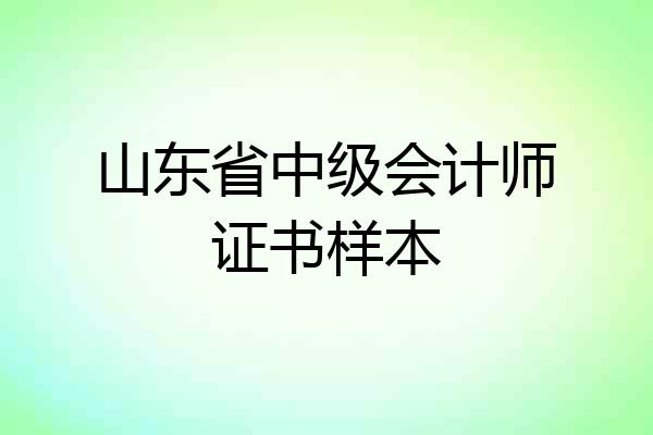山东省中级会计师证书样本