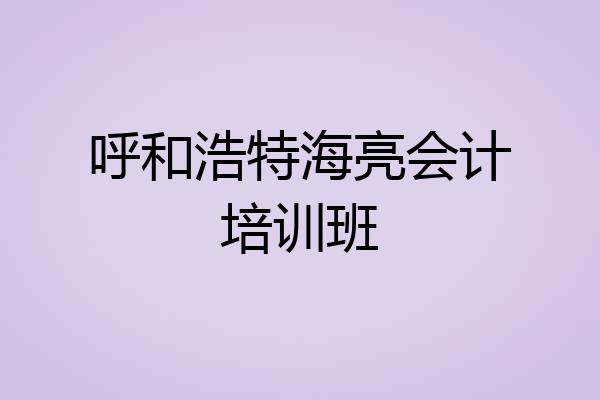 呼和浩特海亮会计培训班