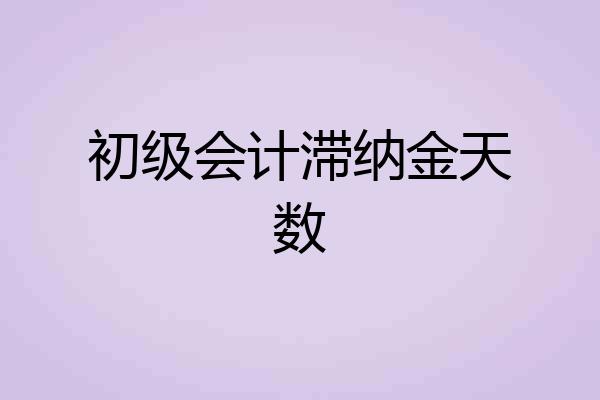 初级会计滞纳金天数
