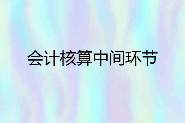 会计核算中间环节