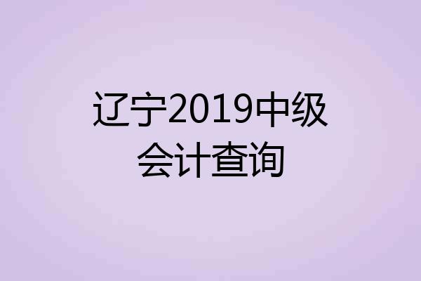 辽宁2019中级会计查询
