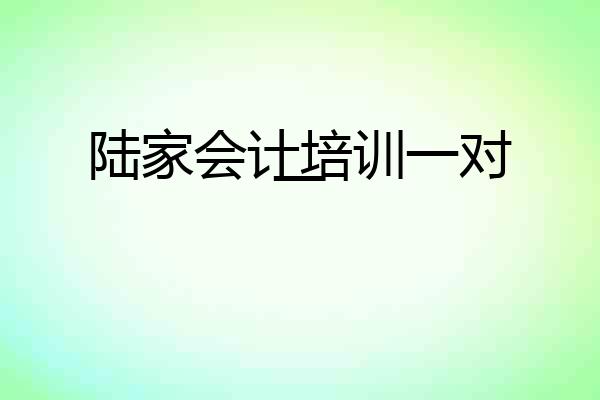 陆家会计培训一对一