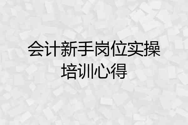 会计新手岗位实操培训心得