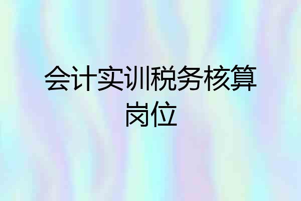 会计实训税务核算岗位
