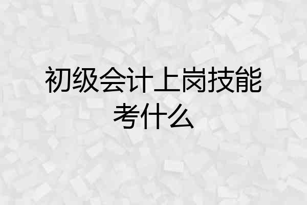 初级会计上岗技能考什么