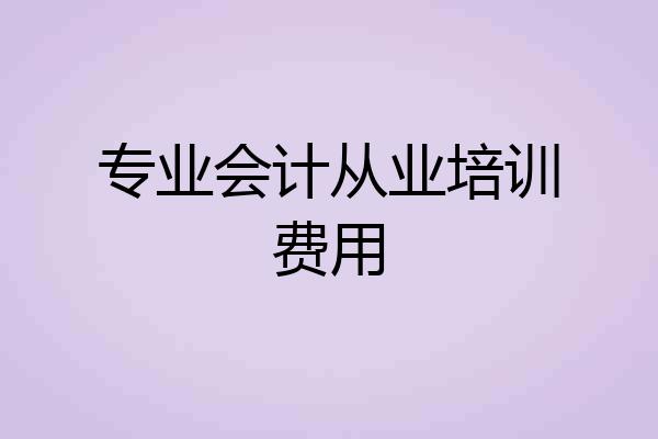 专业会计从业培训费用