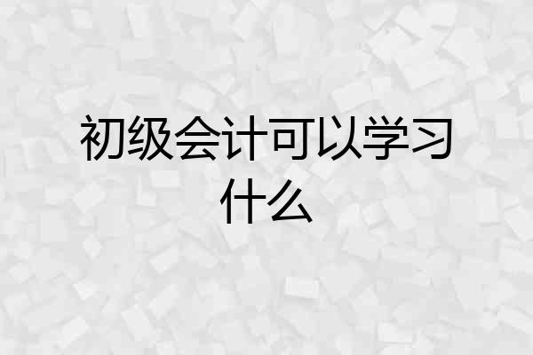 初级会计可以学习什么