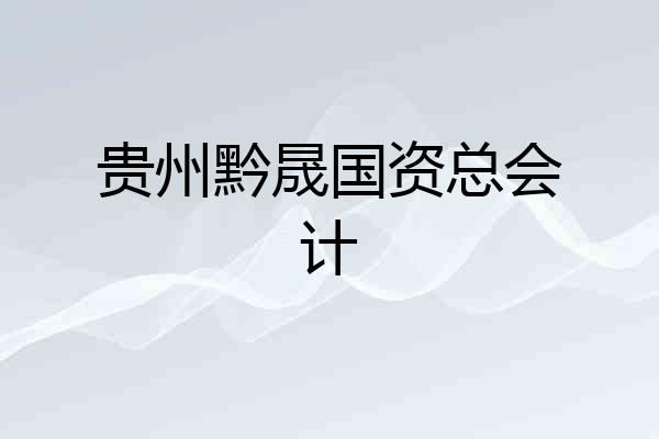贵州黔晟国资总会计