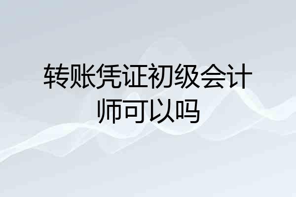 转账凭证初级会计师可以吗