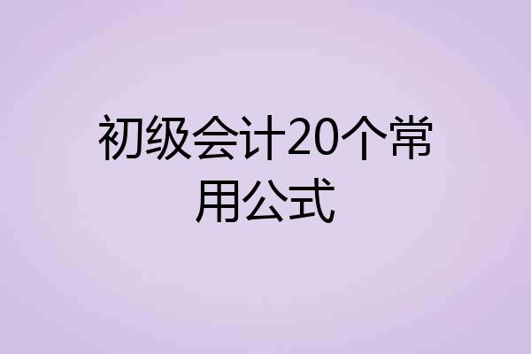 初级会计20个常用公式