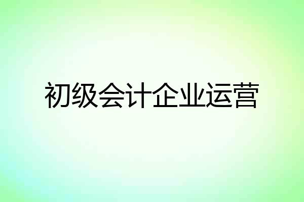 初级会计企业运营