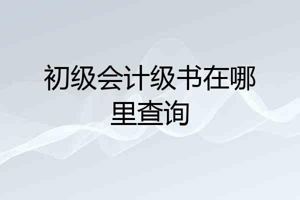 初级会计级书在哪里查询