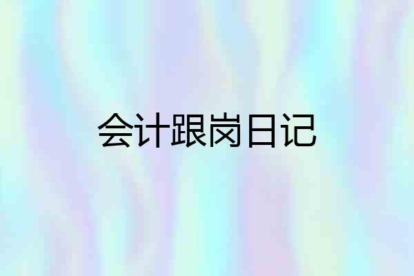 会计跟岗日记