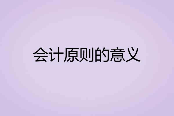 会计原则的意义