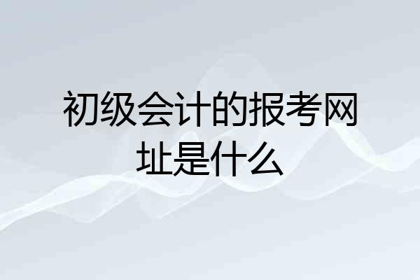 初级会计的报考网址是什么