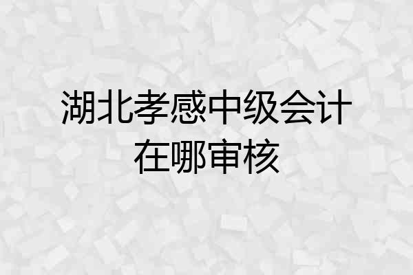 湖北孝感中级会计在哪审核