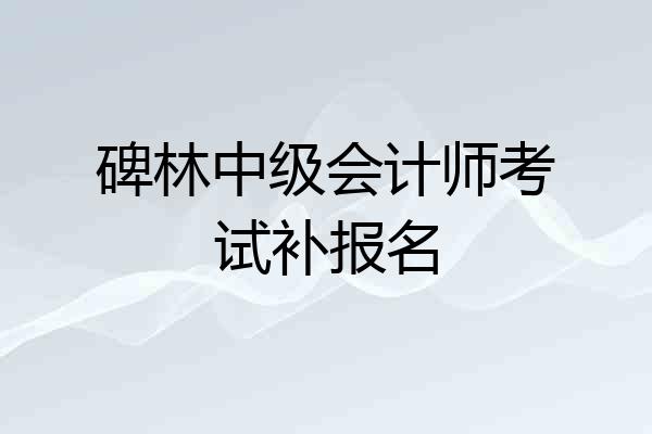 碑林中级会计师考试补报名