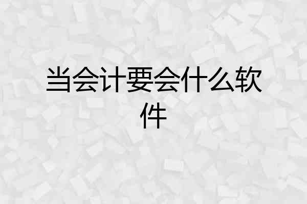 当会计要会什么软件