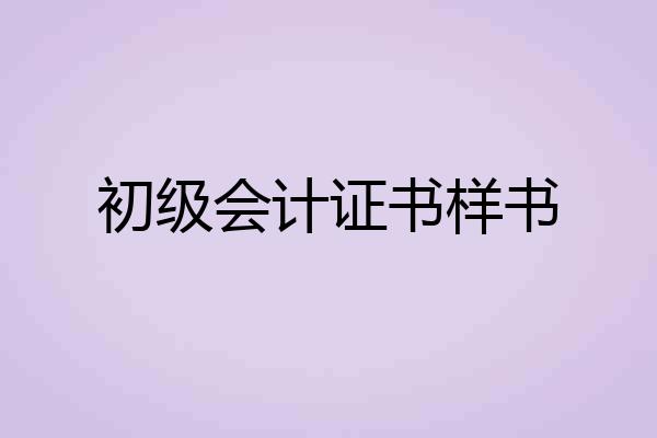 初级会计证书样书