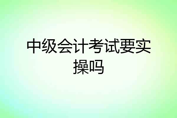 中级会计考试要实操吗