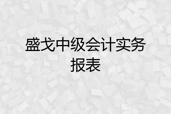 盛戈中级会计实务报表