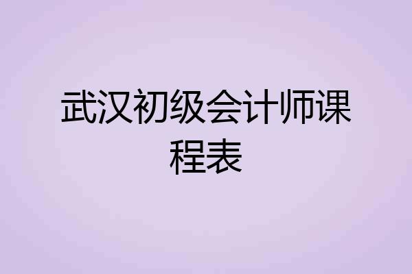 武汉初级会计师课程表