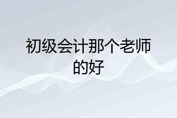 初级会计那个老师的好
