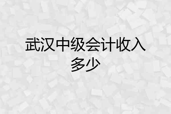 武汉中级会计收入多少