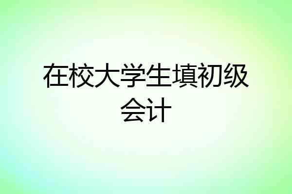 在校大学生填初级会计