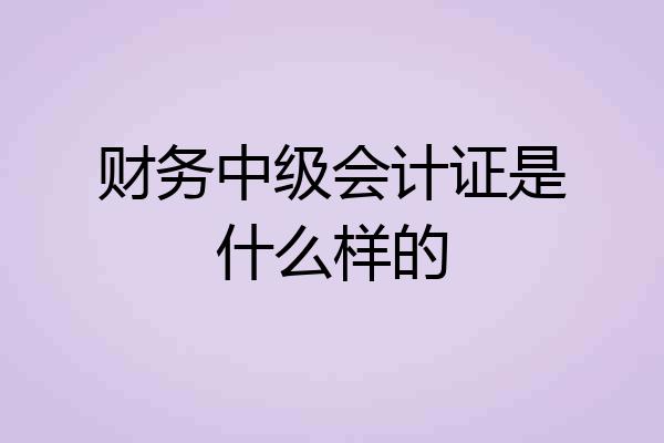 财务中级会计证是什么样的