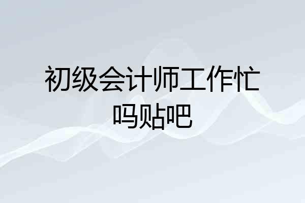 初级会计师工作忙吗贴吧