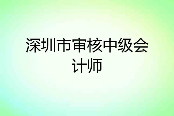 深圳市审核中级会计师
