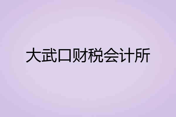 大武口财税会计所