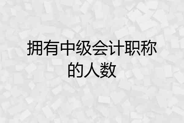 拥有中级会计职称的人数