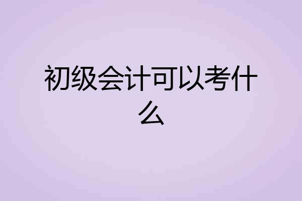 初级会计可以考什么
