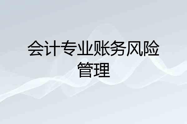 会计专业账务风险管理