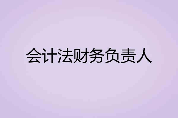 会计法财务负责人