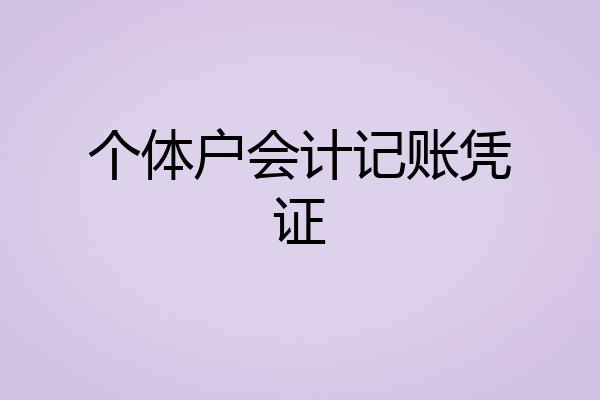 个体户会计记账凭证