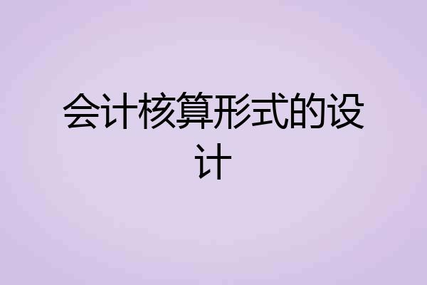 会计核算形式的设计