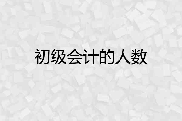 初级会计的人数