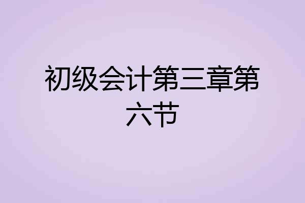 初级会计第三章第六节