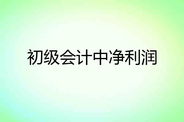 初级会计中净利润