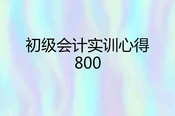 初级会计实训心得800