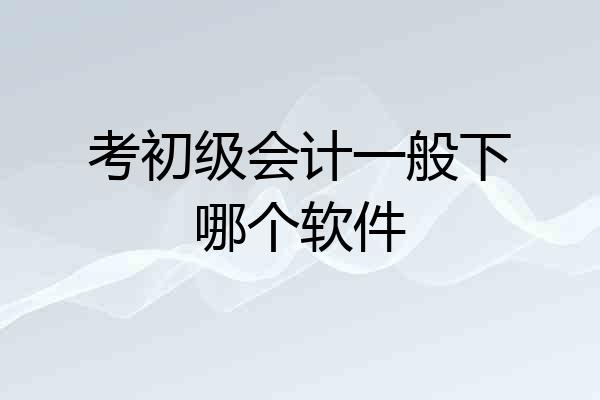 考初级会计一般下哪个软件