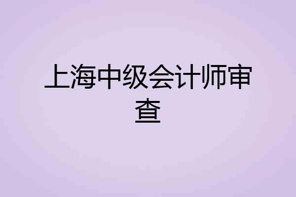 上海中级会计师审查