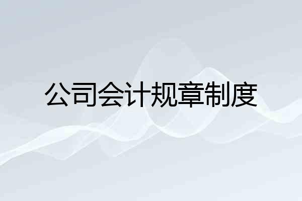公司会计规章制度