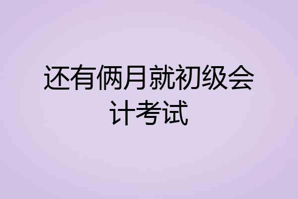 还有俩月就初级会计考试