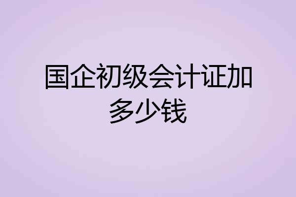 国企初级会计证加多少钱