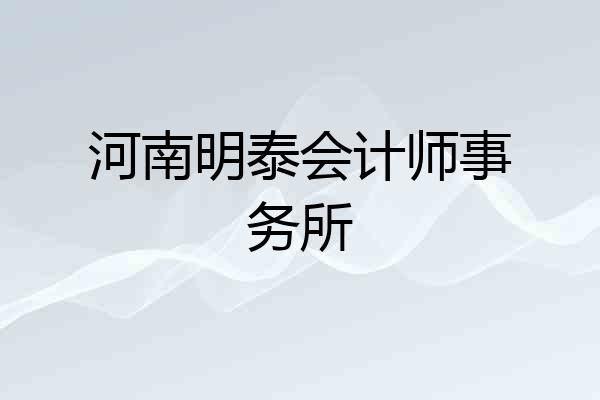 河南明泰会计师事务所