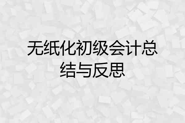 无纸化初级会计总结与反思